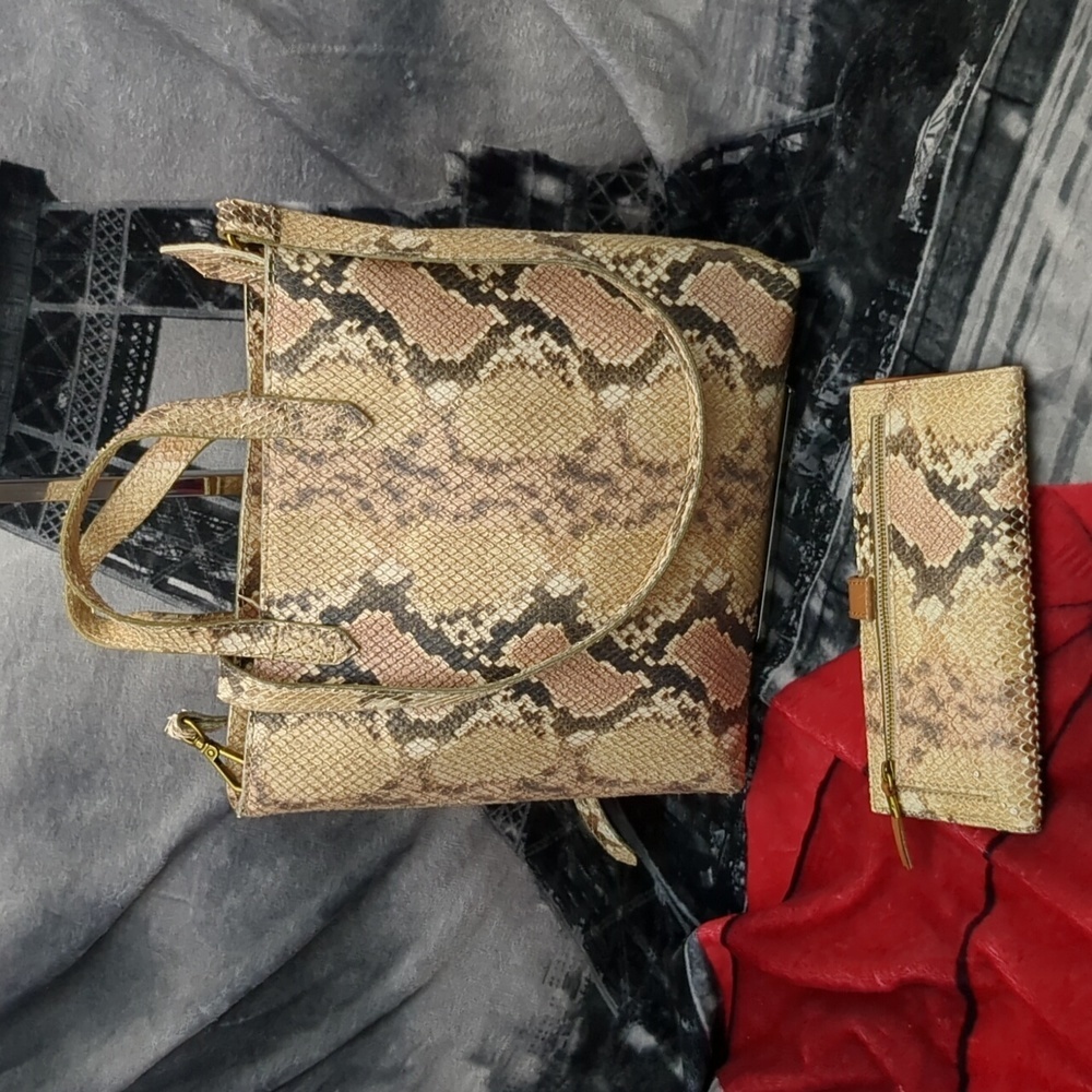Madewell snake skin transport tote and wallet
